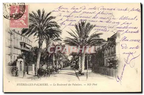 Cartes postales Palmiers Hyeres les Palmiers Le boulevard des palmiers