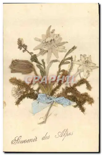 Cartes postales Fantaisie Fleurs (fleurs sechees)