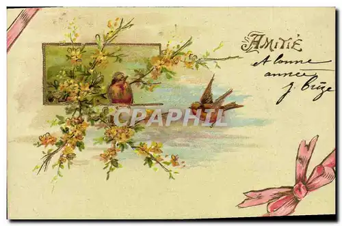 Cartes postales Fantaisie Fleurs Oiseaux