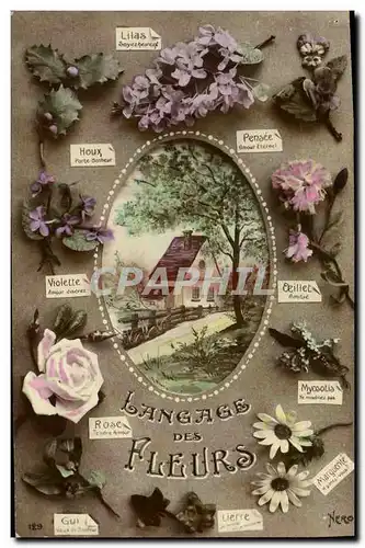 Cartes postales Fantaisie Langage des Fleurs