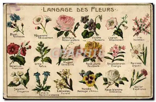 Ansichtskarte AK Fantaisie Langage des Fleurs