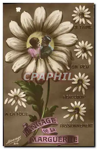 Cartes postales Fantaisie Langage de la marguerite Fleurs