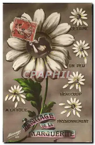 Cartes postales Fantaisie Langage de la Marguerite Fleurs