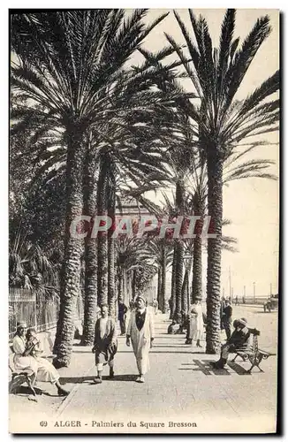 Cartes postales Palmiers Palmier Alger Palmiers du square Bresson