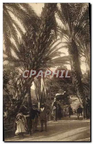 Cartes postales Palmiers Palmier Oran La promenade prise de l&#39etang