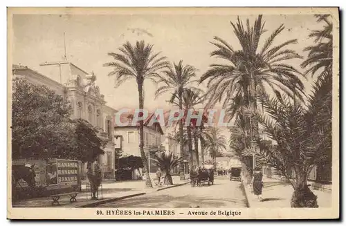 Ansichtskarte AK Hyeres les Palmiers Palmier Avenue de Belgique