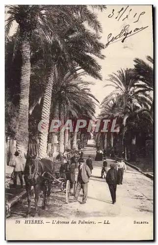 Ansichtskarte AK Hyeres Avenue des Palmiers Palmier