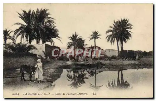 Cartes postales Paysage du sud Oasis de Palmiers Dattiers Palmier