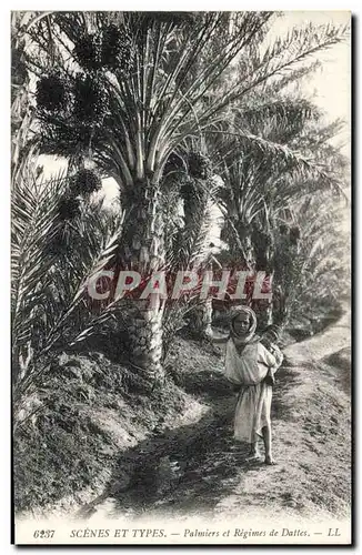 Cartes postales Palmiers et regimes de dattes Femme Enfant Palmier