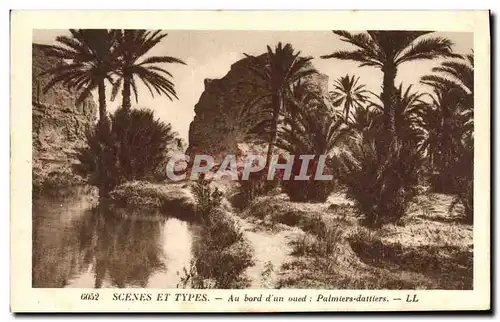 Cartes postales Au bord d&#39un oued Palmiers Dattiers Palmier