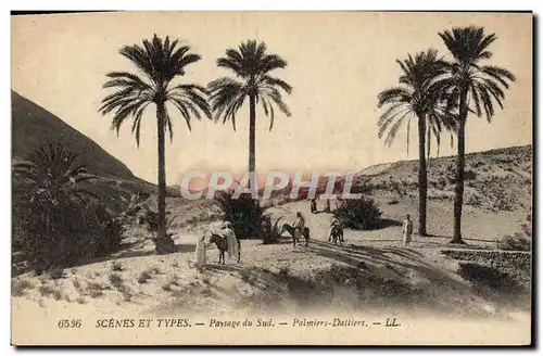 Cartes postales Palmiers Dattiers Paysage du Sud Palmier