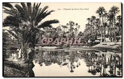 Ansichtskarte AK Palmiers au bord d&#39un oued Palmier