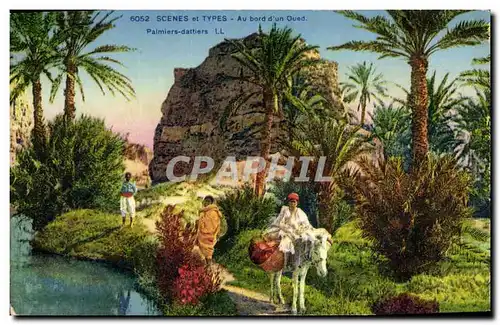 Cartes postales Palmiers dattiers Au bord d&#39un oued Ane Mule Palmier