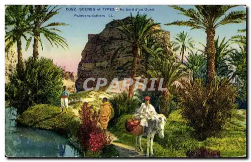 Cartes postales Palmiers dattiers Au bord d&#39un oued Ane Mule Palmier