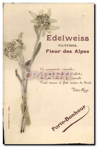 Ansichtskarte AK Fantaisie Fleurs sechees Edelweiss