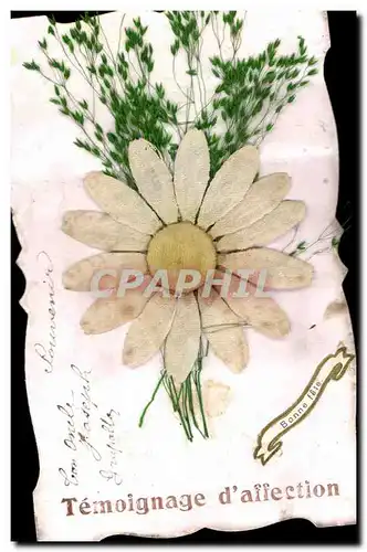 Cartes postales Fantaisie Fleurs