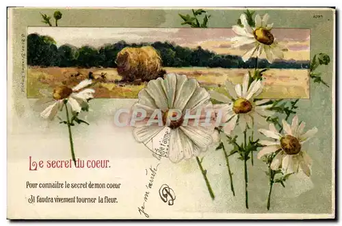 Cartes postales Fantaisie Fleurs