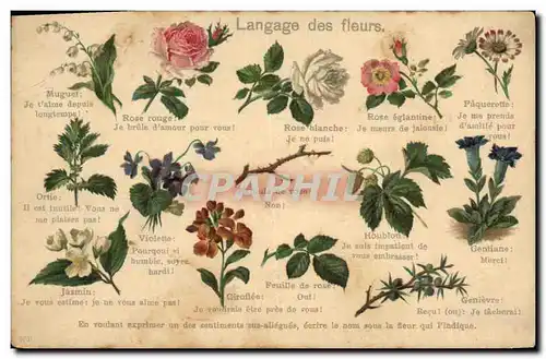 Ansichtskarte AK Fantaisie Le langage des Fleurs