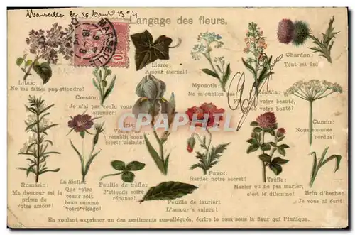 Ansichtskarte AK Fantaisie Le langage des Fleurs