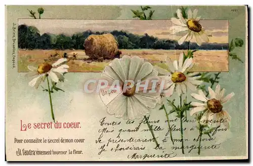 Cartes postales Fantaisie Fleurs Le secret du coeur