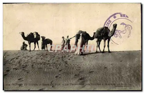 Cartes postales Palmiers Palmier Dans le Sud Le transport des dattes a travers le Sahara