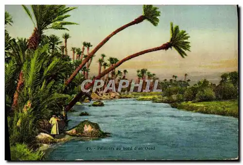 Cartes postales Palmiers au bord d&#39un oued Palmier