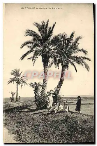 Ansichtskarte AK Carthage Groupe de Palmiers Palmier