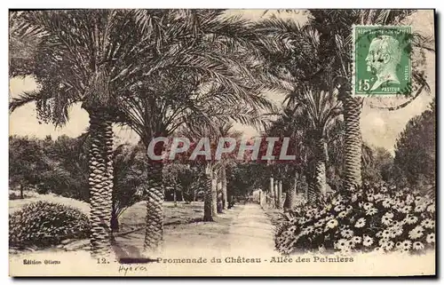 Cartes postales Palmiers Palmier Hyeres Promenade du chateau Allee des palmiers