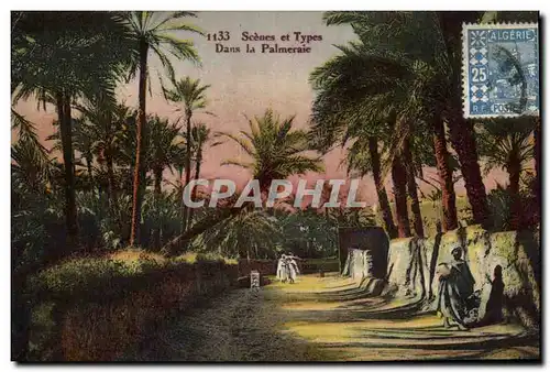 Cartes postales Palmiers Palmier Dans la palmeraie