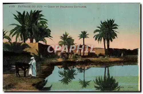 Cartes postales Palmiers Palmier Oasis de palmiers dattiers