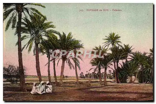 Cartes postales Palmiers Palmier Paysage du Sud