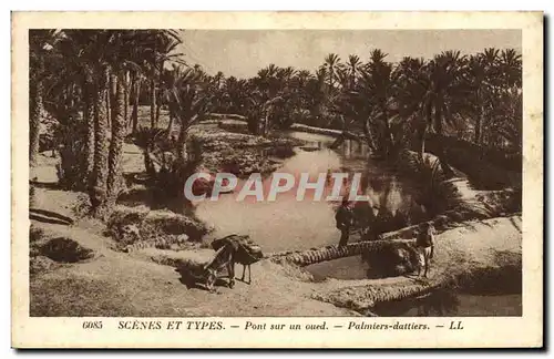 Ansichtskarte AK Palmiers dattiers Pont sur un oued Palmier