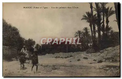 Cartes postales Maroc Vue des Palmiers dans l&#39oasis Palmier