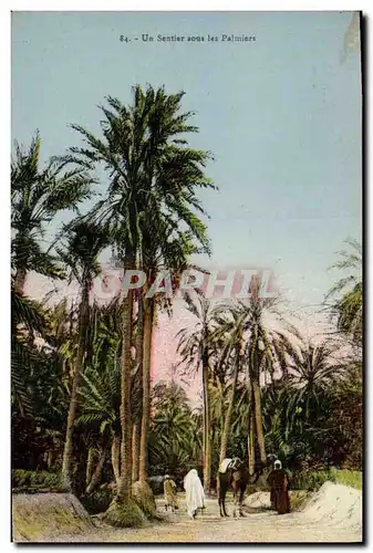 Ansichtskarte AK Un sentier sous les Palmiers Palmier