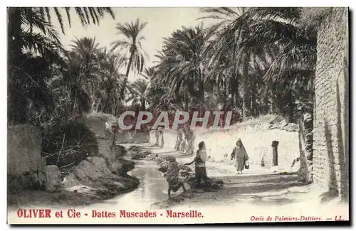 Ansichtskarte AK Palmiers Palmier Oliver et Cie Dattes muscades Marseille Oasis de palmiers dattiers