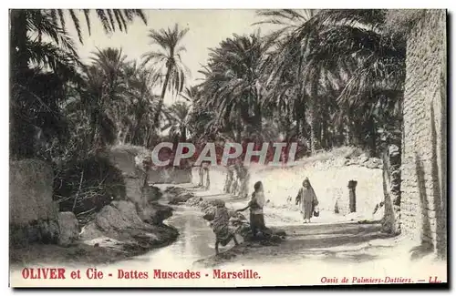 Cartes postales Palmiers Palmier Oliver et Cie Dattes muscades Marseille Oasis de palmiers dattiers
