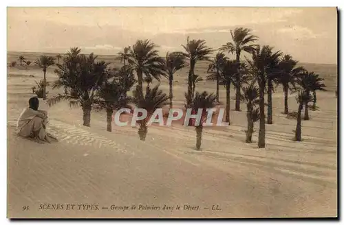 Ansichtskarte AK Groupe de Palmiers dans le desert Palmier