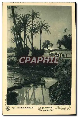 Cartes postales Palmiers Palmier Marrakech La palmeraie