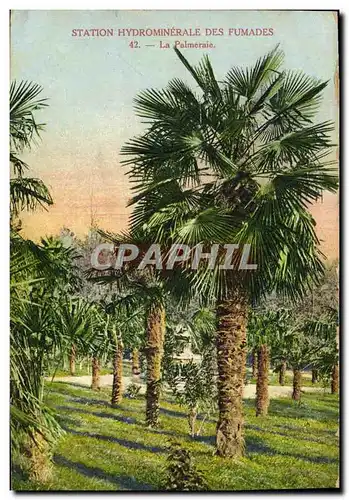 Cartes postales Palmiers Palmier Station hydrominerale des Fumades La palmeraie