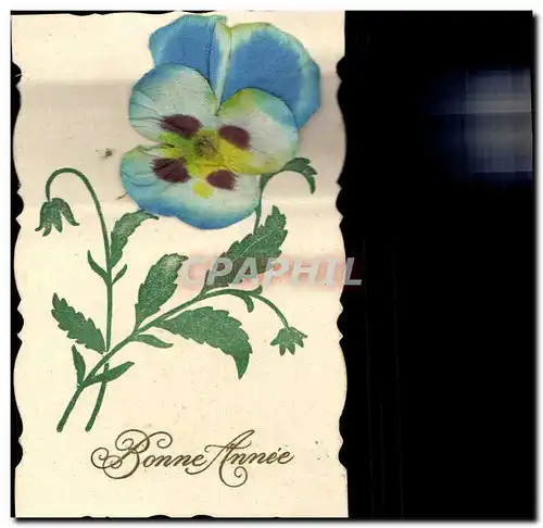 Cartes postales Fantaisie Fleurs