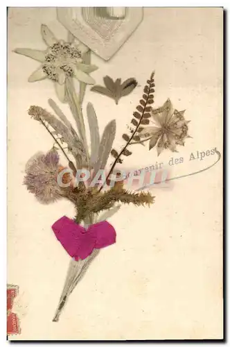 Cartes postales Fantaisie Fleurs sechees