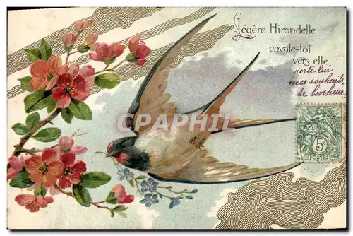 Cartes postales Fantaisie Fleurs Oiseau Hirondelle