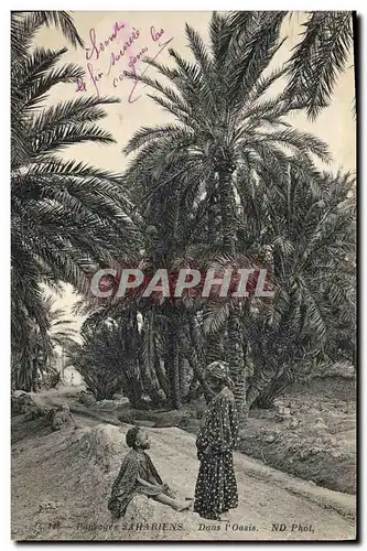 Ansichtskarte AK Palmiers Palmier Paysages sahariens Dans l&#39oasis