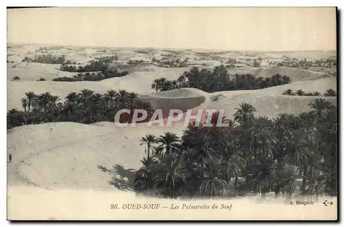 Cartes postales Palmiers Palmier Oued Souf Les palmeraies du Souf