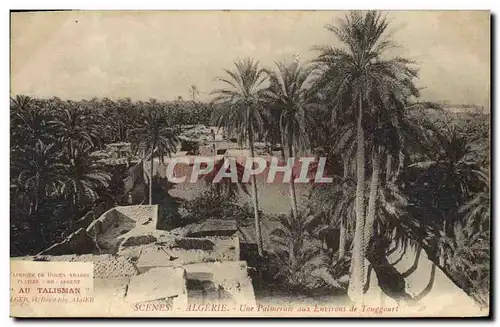 Cartes postales Palmiers Palmier Algerie Une palmeraie aux environs de Touggourt
