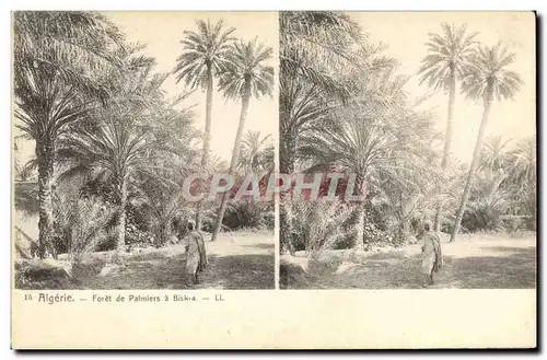 Ansichtskarte AK Palmiers Palmier Algerie Foret de palmiers a Biskra