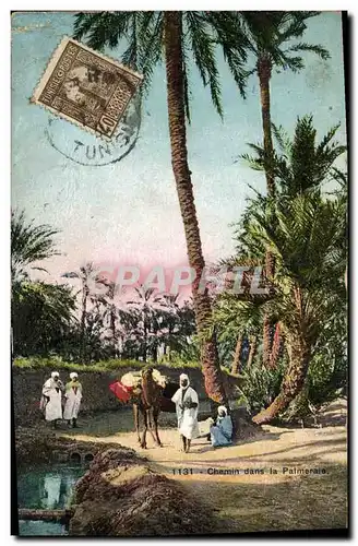 Cartes postales Palmiers Palmier Chemin dans la palmeraie