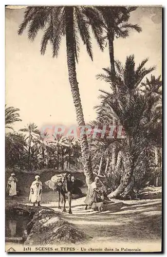 Cartes postales Palmiers Palmier Un chemin dans la palmeraie