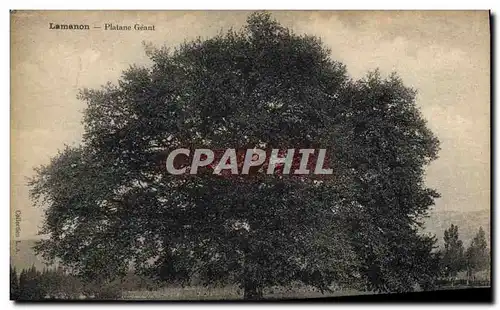 Cartes postales Arbre Lamanon Platane geant