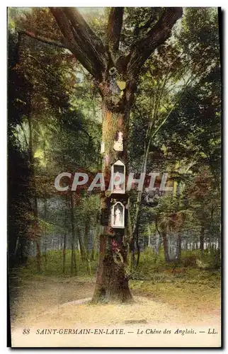 Cartes postales Arbre Saint Germain en Laye Le chene des Anglais